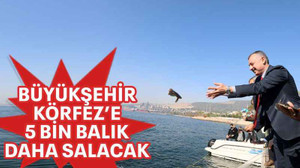 Büyükşehir Körfez’e 5 bin balık daha salacak